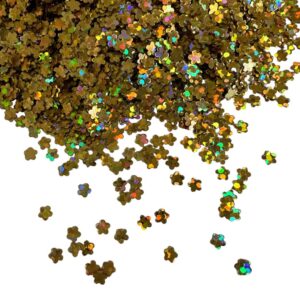 GLITTER FLOR 1KG