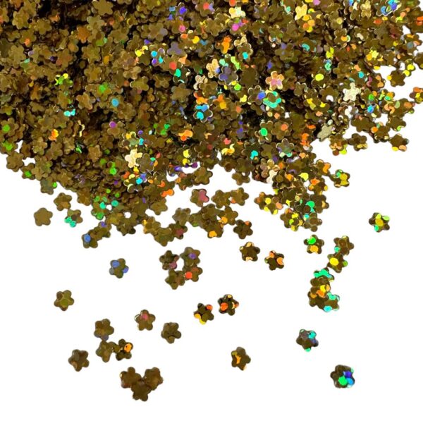GLITTER FLOR 1KG